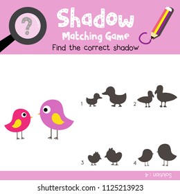 Shadow matching game of Standing Bird animals for preschool kids activity worksheet colorful version. Vector Illustration.