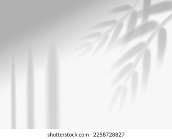 Sombra. Efecto superpuesto de luz solar a partir de marcos de ventana y rama de plantas tropicales, hojas de palmera en la pared de la habitación, techo o suelo. Antecedentes realistas. Ilustración del vector