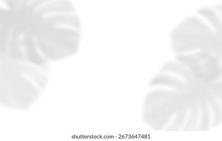 Sombra de hojas monstruosas sombra superpuesta con siluetas de hojas realistas sobre fondo transparente. Follaje de palma tropical iluminado por la luz solar. Ilustración vectorial