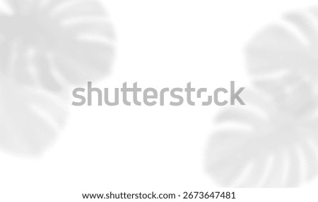Shadow of monstera leaves shadow overlay with realistic leaf silhouettes on transparent background. Tropical palm foliage illuminated by sunlight. Vector illustration