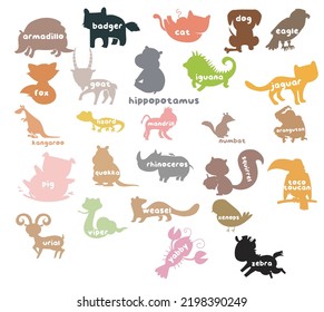 Shadow nimal alphabet flashcard. Educational printable flashcard. Vector illustrations.