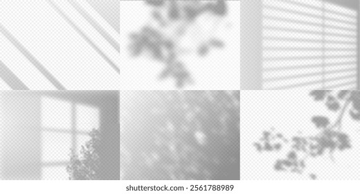 Shadow on wall. Sun light from window. Reflection soft shade from leaves and blinds. Shading transparent backgrounds vector set. Natural lighting mockup. Realistic overlay effect