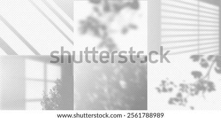 Shadow on wall. Sun light from window. Reflection soft shade from leaves and blinds. Shading transparent backgrounds vector set. Natural lighting mockup. Realistic overlay effect