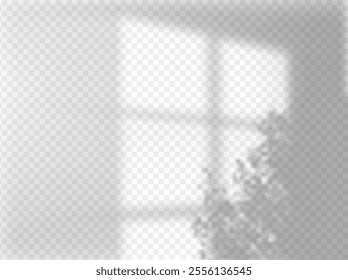 Shadow on wall vector illustration. Blurred soft shadow from the window and leaves of plants outside. Natural shadows transparent background mockup. Reflection shade of natural lighting from tree