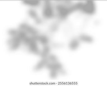 Shadow on white wall vector illustration. Blurred soft shadow from the window and leaves of plants outside. Natural shadow from tree branch background mock up. Reflection shade of natural lighting