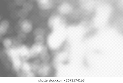 Shadow overlay of abstract foliage branch on transparent background