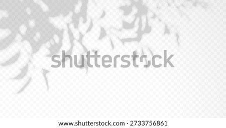 Shadow overlay of abstract foliage branch on transparent background. Gobo tree vector effect