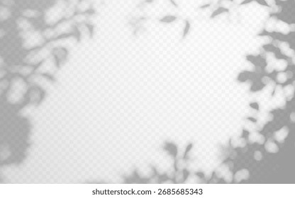 Shadow overlay of abstract tree foliage with empty space on transparent background
