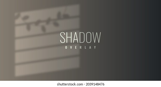 Diseño de la plantilla de ilustración de fondo de sombra