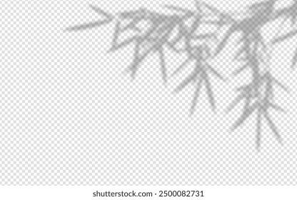 Shadow overlay from a bamboo branch isolated on a transparent background.