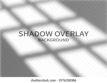 Shadow overlay effect background. Monochrome abstract design for mockup. Window frame shadow and soft light on transparent background. Vector illustration.