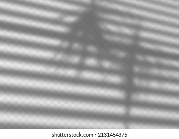 Shadow overlay effect background. Transparent shadow of window jalousie, palm and soft light on transparent background. Vector illustration. Monochrome background for design.