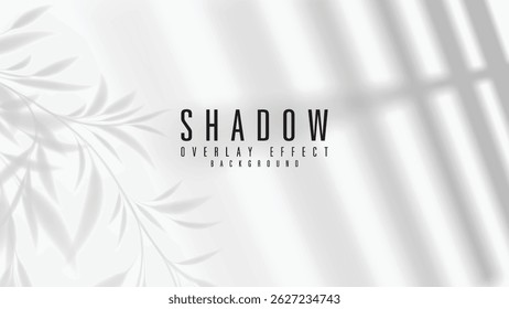 Shadow overlay effect background. Transparent shadow of window and leaves and trees. Vector illustration
