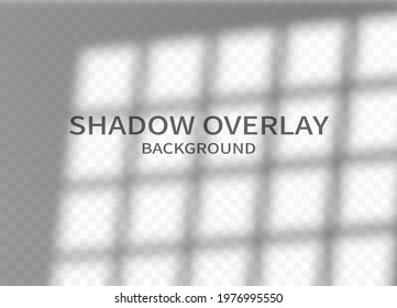 Shadow overlay effect background. Window frame shadow and soft light on vertical wall. Monochrome abstract design for mockup. Vector illustration.