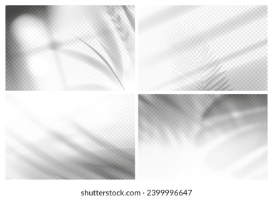 Shadow overlay effect backgrounds set. Vector realistic palm and plant leaves with sunlight from window and gray shades on wall. Tropical plants foliage, floral or tree branches shadows on floor.