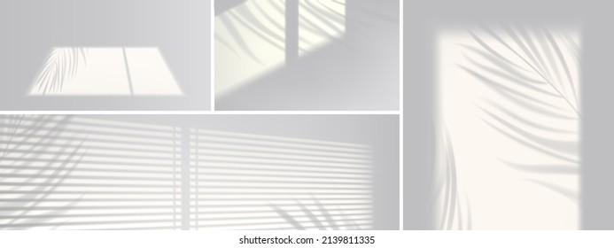 Shadow overlay effect backgrounds. Vector realistic mockup of room with sunlight from window and gray shades of blinds and plant leaves on white wall and floor