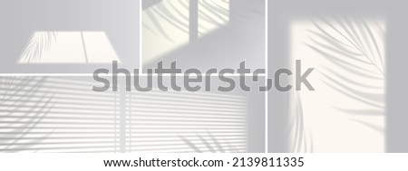 Shadow overlay effect backgrounds. Vector realistic mockup of room with sunlight from window and gray shades of blinds and plant leaves on white wall and floor ストックフォト © 