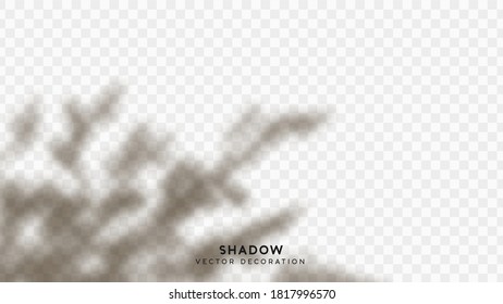 Shadow overlay. Effect light transparent shadow. Realistic creating reflective effect illusions. Overlay for adding scene lighting to your images. Vector illustration.