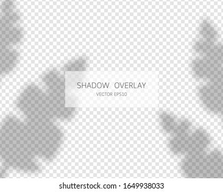 Shadow overlay effect. Natural shadows isolated on transparent background. Vector illustration. 