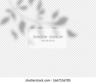 Shadow overlay effect. Natural shadows isolated on transparent background. Vector illustration. 