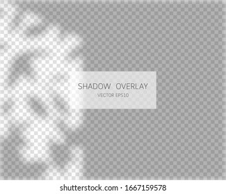 Efecto de superposición de sombra. Sombras naturales de la ventana aisladas en fondo transparente. Ilustración vectorial. 