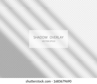 Shadow overlay effect. Natural shadows from window isolated on transparent background. Vector illustration. 