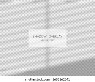 Shadow overlay effect. Natural shadows from window isolated on transparent background. Vector illustration. 