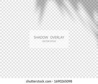Efecto de superposición de sombra. Sombras naturales aisladas sobre un fondo transparente. Ilustración vectorial. 