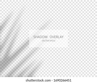 Shadow overlay effect. Natural shadows isolated on transparent background. Vector illustration. 