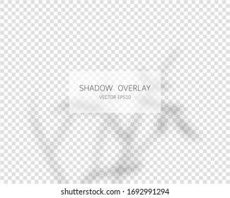 Schattenüberlagseffekt. Natürliche Schatten einzeln auf transparentem Hintergrund.  Vektorgrafik. 