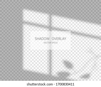 Shadow overlay effect. Natural shadows from window isolated on transparent background. Vector illustration. 