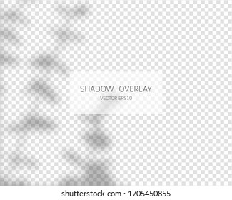 Shadow overlay effect. Natural shadows isolated on transparent background. Vector illustration. 