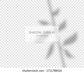 Shadow overlay effect. Natural shadows isolated on transparent background. Vector illustration. 