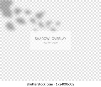 Schattenüberlagseffekt. Natürliche Schatten einzeln auf transparentem Hintergrund. Vektorgrafik. 