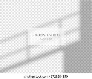 Shadow overlay effect. Natural shadows from window isolated on transparent background. Vector illustration. 