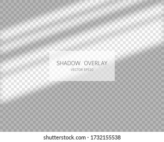 Überlagerungseffekt. Natürliche Schatten aus Fenster isoliert auf transparentem Hintergrund. Vector-Abbildung. 