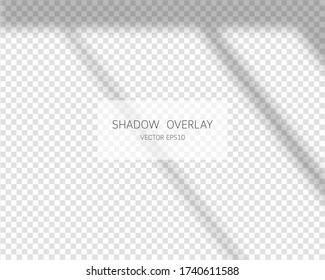 Shadow overlay effect. Natural shadows from window isolated on transparent background. Vector illustration. 