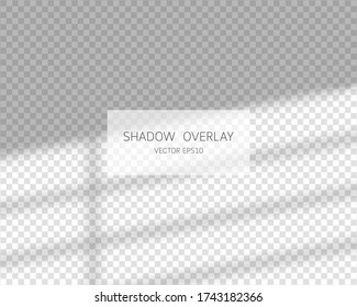 Shadow overlay effect. Natural shadows from window isolated on transparent background. Vector illustration. 