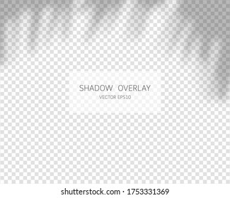 Efecto de superposición de sombra. Sombras naturales aisladas en un fondo transparente. Ilustración vectorial. 