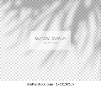 Shadow overlay effect. Natural shadows isolated on transparent background. Vector illustration. 