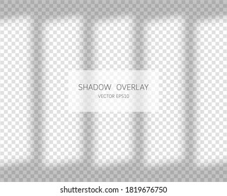 Shadow overlay effect. Natural shadows from window isolated on transparent background. Vector illustration. 