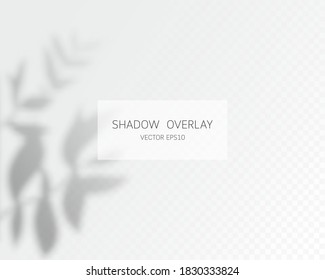 Shadow overlay effect. Natural shadows isolated on transparent background. Vector illustration. 
