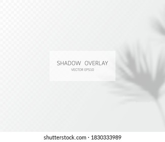 Shadow overlay effect. Natural shadows isolated on transparent background. Vector illustration. 