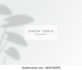 Efecto de superposición de sombra. Sombras naturales aisladas en un fondo transparente. Ilustración vectorial. 