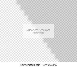 Shadow overlay effect. Natural shadows from window isolated on transparent background. Vector illustration. 
