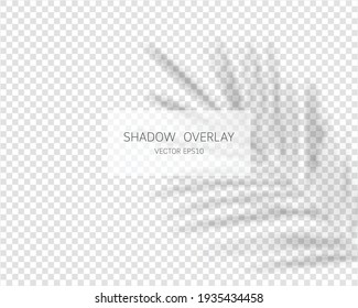 Shadow overlay effect. Natural shadows isolated on transparent background. Vector illustration. 