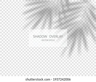 Shadow overlay effect. Natural shadows isolated on transparent background. Vector illustration. 