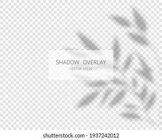 Shadow overlay effect. Natural shadows isolated on transparent background. Vector illustration. 