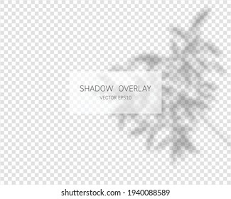 Shadow overlay effect. Natural shadows isolated on transparent background. Vector illustration. 