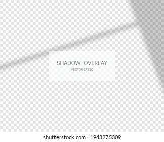 Shadow overlay effect. Natural shadows from window isolated on transparent background. Vector illustration. 